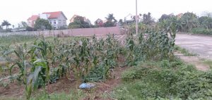 Đất Nền Long tân Nam sách Hải dương