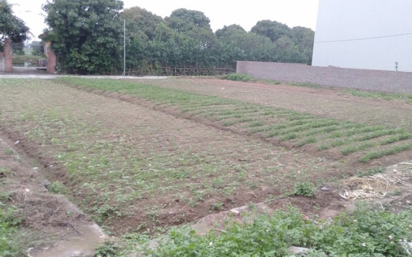 Đất Nền An Châu Hải Dương